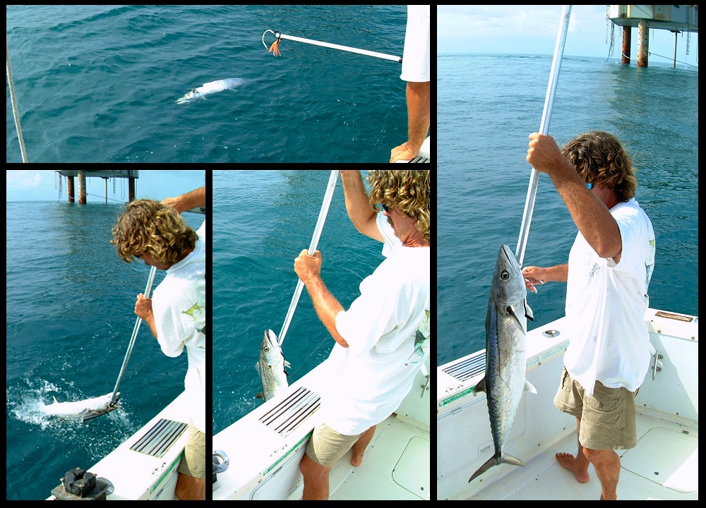 (28) montage (rig fishing).jpg   (1000x720)   340 Kb                                    Click to display next picture